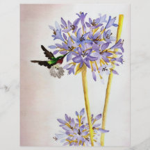 Hummingbird and Flowers Personalized Flyer