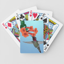 Hummingbird Bicycle Poker Deck