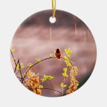 Hummingbird in Rain Shower ornaments