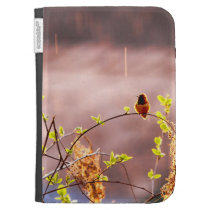 Hummingbird in Rain Shower caseable cases