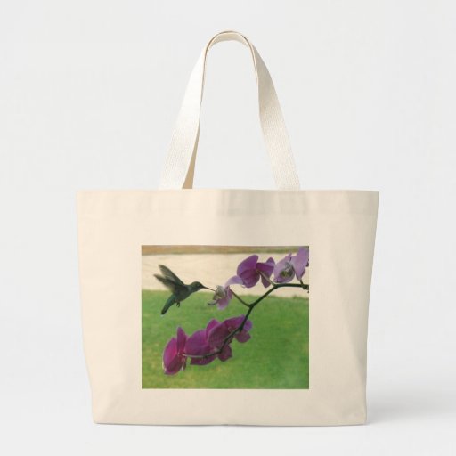 Hummingbird with Orchid Bags