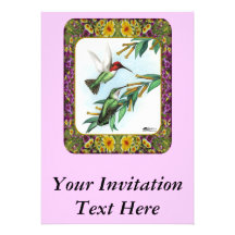 Hummingbirds and Flowers #4 Announcements