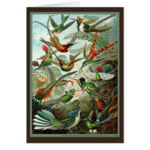 Hummingbirds Card