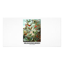 Hummingbirds Customized Photo Card