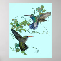 Hummingbirds Flight Poster