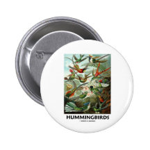 Hummingbirds Pin