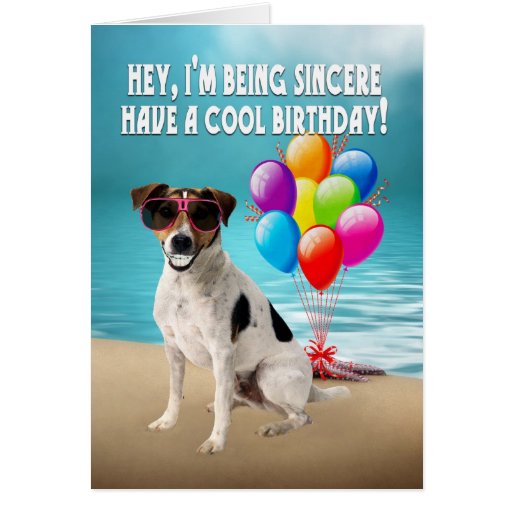 humourous dogy birthday card - happy jack russel d