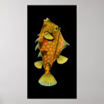 Humpback Turretfish, Ernst Haeckel Print