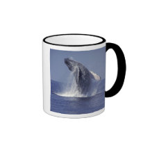 Humpback whale breaching (Megaptera Mug