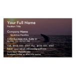 Humpback whale putting on a display at sunset, Cap Business Card Template