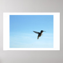 HumV Print