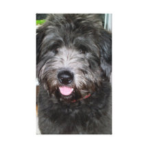 Hund Galerie Faltleinwand