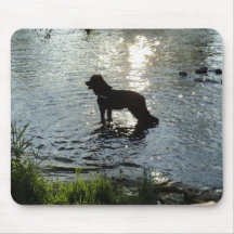 Hund Mousepads