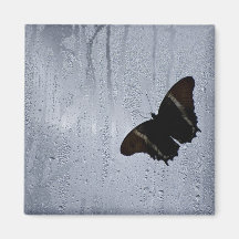 Hung Over Water II Magnets