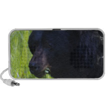 Hungry Black Bear  Speakers