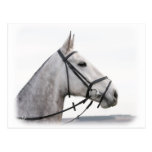 Hunter 9Y480D-066 Post Card