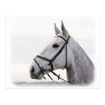 Hunter 9Y480D-067 Post Card
