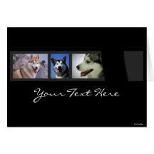 Huskies Card
