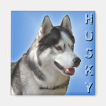 Husky Fridge Magnet Alaskan Sled Dog Magnet / Gift