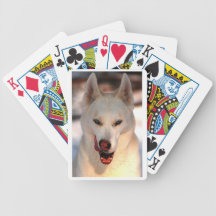 Husky playing cards deck