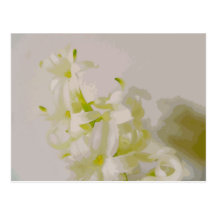 Hy canvas post card