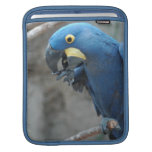 Hyacinth Macaw iPad Sleeve