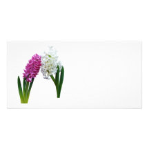 Hyacinths In Love Personalized Photo Card