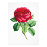Hybrid Perpetual Rose - Napoleon III Personalized Invitation