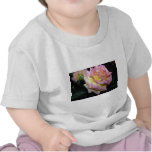 Hybrid Tea Rose 'Peace' Roses Tee Shirts