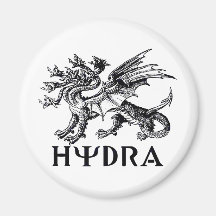 Hydra Fridge Magnet