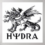 Hydra Print