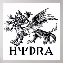 Hydra Print