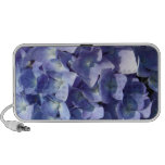 Hydrangea 2 Speakers