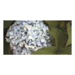 Hydrangea Cards Customized Photo Card