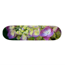 Hydrangea macro skate deck