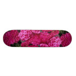 Hydrangea Skateboard Decks