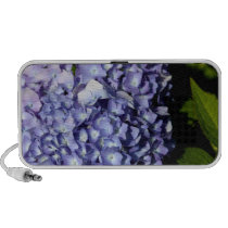 Hydrangea Speakers speakers