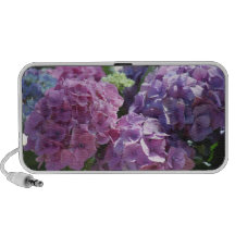 hydrangeas speaker