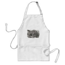 Hylaeosaurus Apron