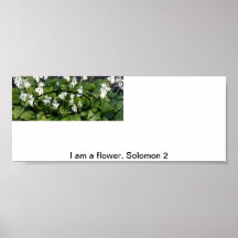 I am a flower posters