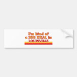 I am kind of a BIG DEAL in Louisville Bumper Stickers