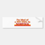 I am kind of a BIG DEAL in Norfolk Bumper Sticker