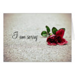 " I am sorry" rose on the street Cards