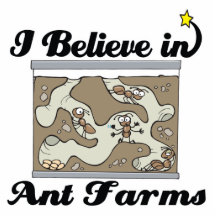 i believe in ant farms photo sculpture