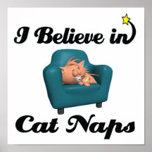 i believe in cat naps posters