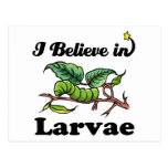 i believe in larvae postcard