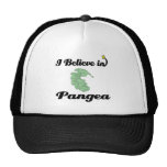 i believe in pangea trucker hat