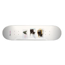 i can haz skateboards