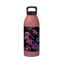 I Come to the Garden Alone Floral Drinking Bottle