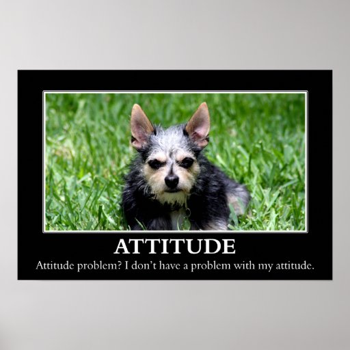 I don't have an attitude problem (L) Posters